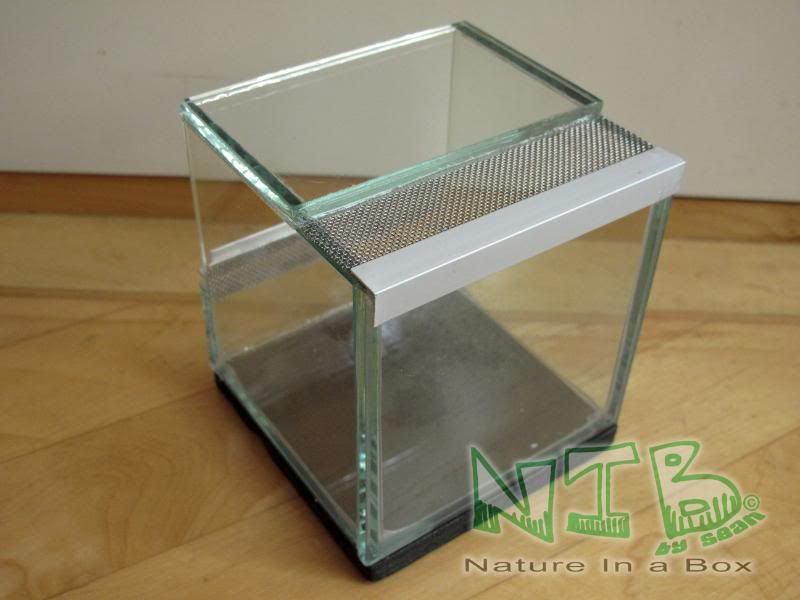 Convert a glass aquarium to a European style terrarium Dendroboard